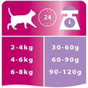 195530.156100.2196.e05b010d2eba6c3a.pro12172055