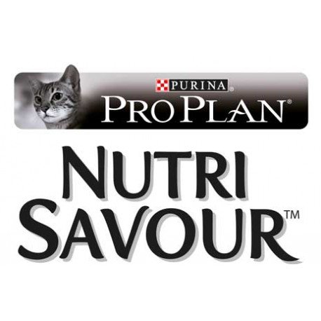 195530.156100.2196.e5efa84b18f4a79a.pro12339041