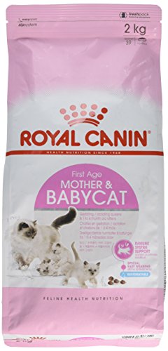 Royal Canin Mother & Kitten 2kg