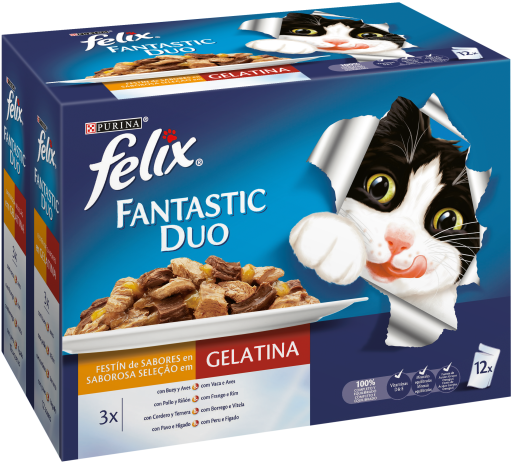 Felix Duo.