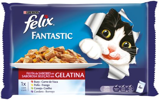 Felix Fantastic