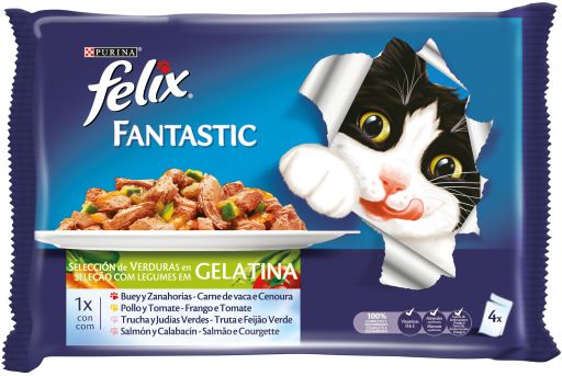 Felix Fantastic