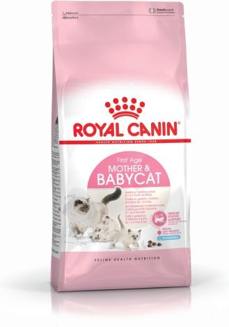 RC Mother & Baby Cat - 4KG