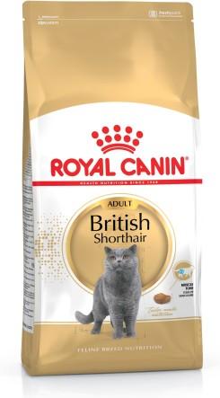 RC British Short Hair - 2KG