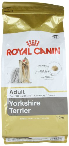 RC Yorkshire Terrier - 1.5KG