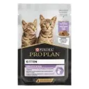 ProPlan kitten Turkey In  Gravy