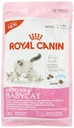 Royal Canin Mother & Babycat Adult & Kitten Dry Food, 400g