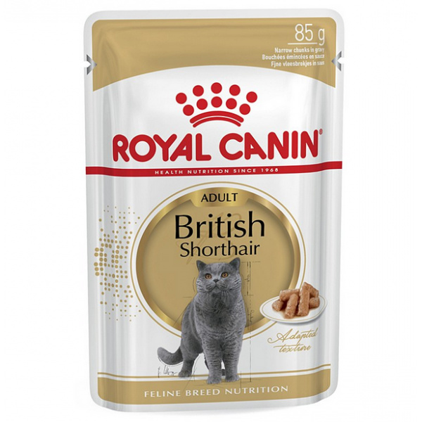 Royal Canin British Shorthair Cat Wet Food in Gravy 85g