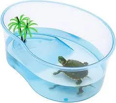 Aquarium Large Turtle.